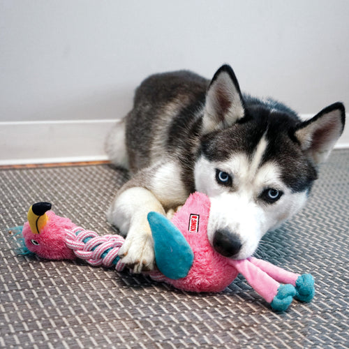 KONG Knots Twists’ Dog Toy