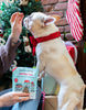 Bocce's Bakery Holiday Feast Soft & Chewy Treats