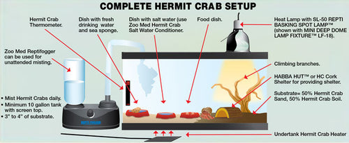 10 Gallon ReptiHabitat™ Hermit Crab Kit