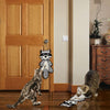 OurPets Snag-ables TM Door or Floor Cat Scratcher – Raccoon