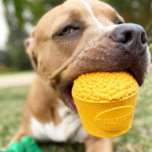 Bullymake Popcorn Bucket Dog Toy (Built for dogs 20-180lbs)