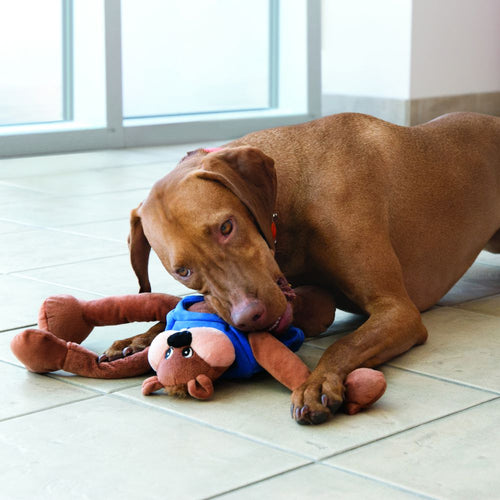 Kong Puzzlement Beaver Dog Toy