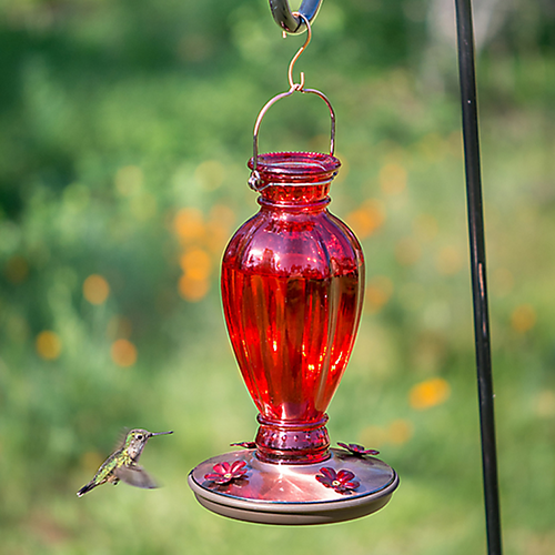 Perky-Pet® Daisy Vase Vintage Hummingbird Feeder - 18 oz Nectar Capacity