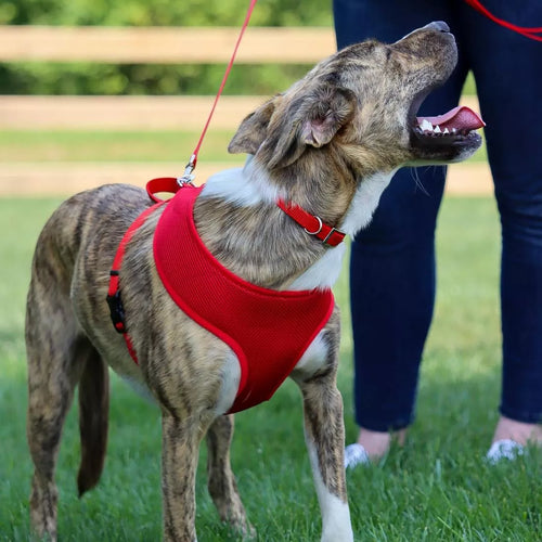 Coastal Pet Products Comfort Soft Adjustable Mesh Dog Harness (X-Small - 5/8 x 16-19 Red)