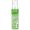 TropiClean Dander Reducing Waterless Cat Shampoo