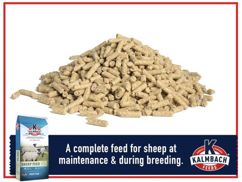 Kalmbach 16% Ewe Builder Sheep Feed
