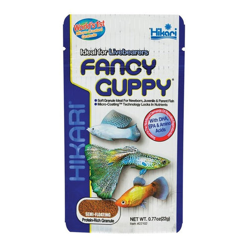 HIKARI FANCY GUPPY